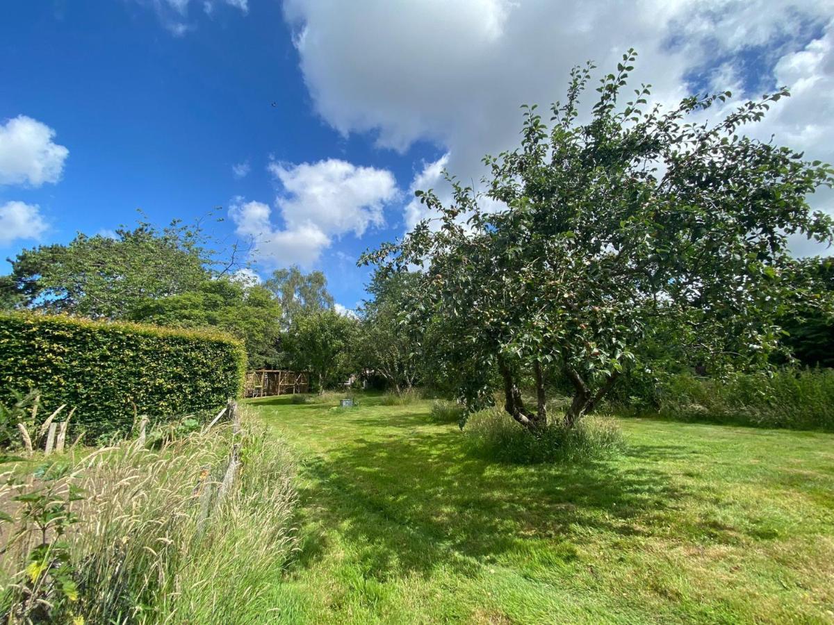 Vane Cottage - Lewes Esterno foto