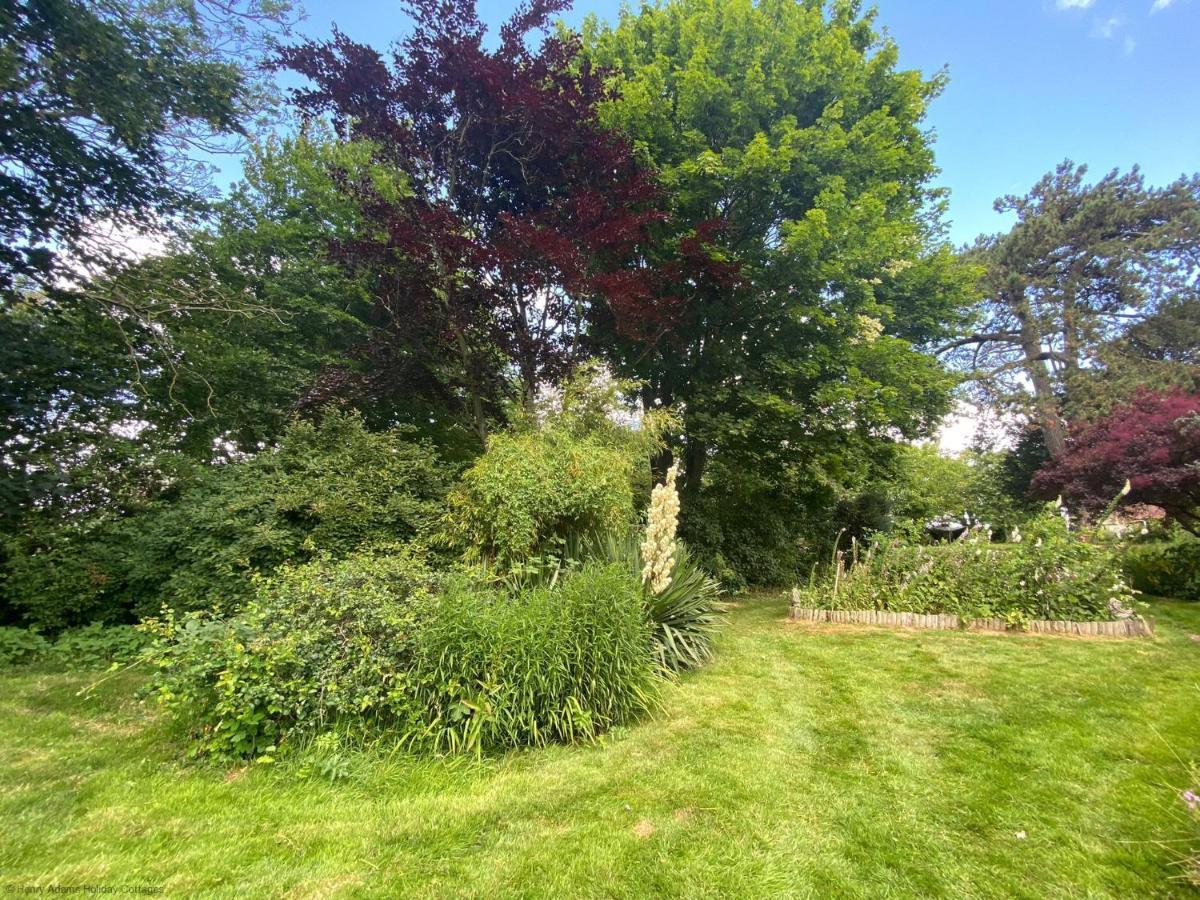 Vane Cottage - Lewes Esterno foto