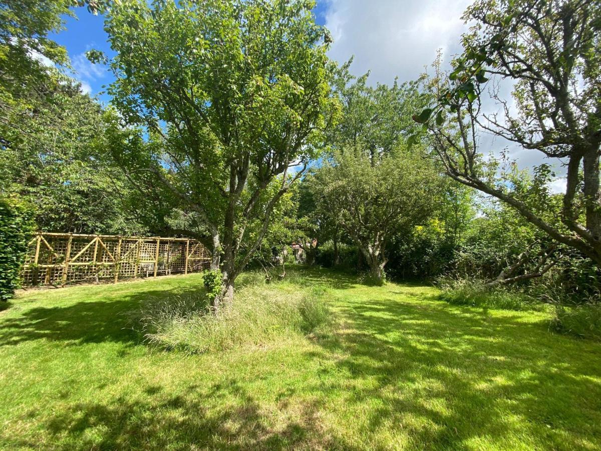 Vane Cottage - Lewes Esterno foto