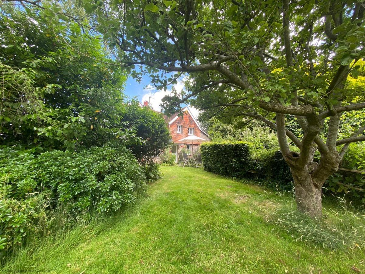 Vane Cottage - Lewes Esterno foto