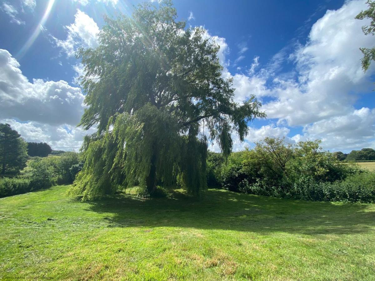 Vane Cottage - Lewes Esterno foto